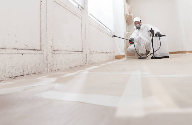 Trusted Mold Inspection service in Leonia, NJ - WQB Mold Removal