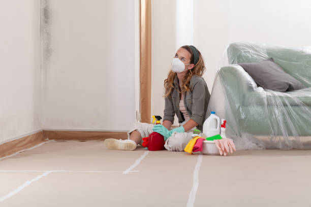 Reliable Mold Inspection contractor in Leonia, NJ by WQB Mold Removal